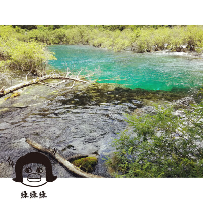 所有的风景都很美