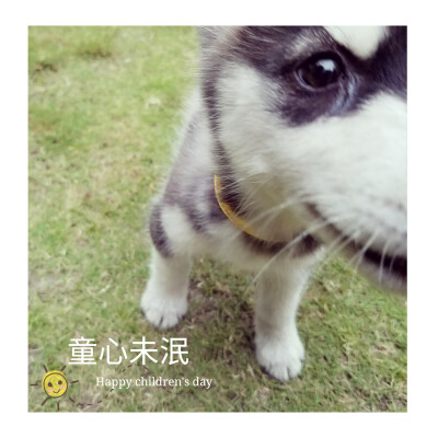 夏末了，浓郁的夏日步入秋初，我想留住这夏日的清凉，却……