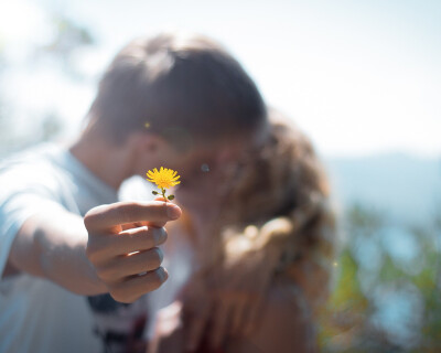 小黄花，，