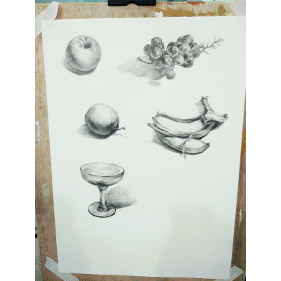 素描静物 临摹 高二狗 加油！ 冷卿