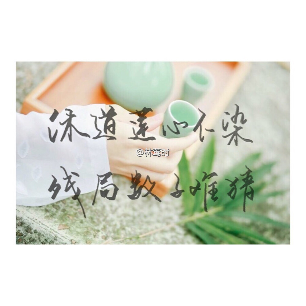 明信片歌词系列之《非鱼》