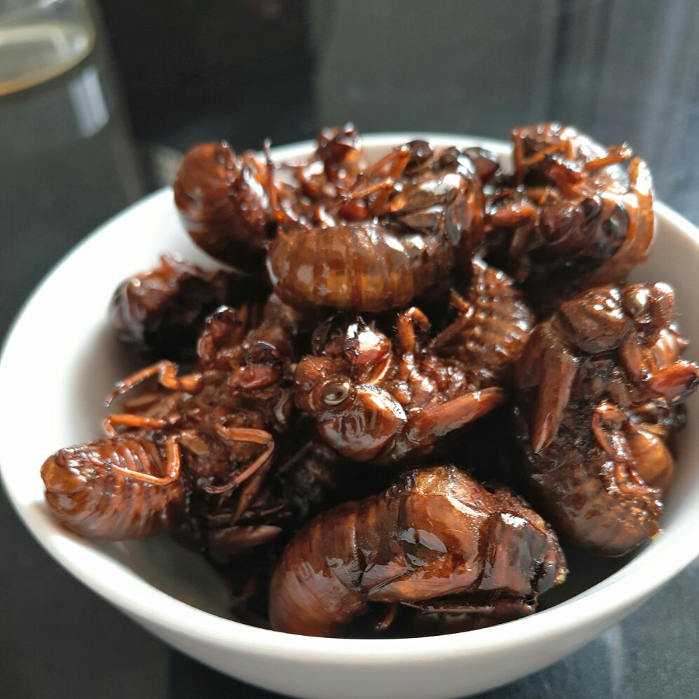 日常手机拍摄~ 油炸金蝉 真的很恶心吗=_= 但是吃起来挺香的啊,2333