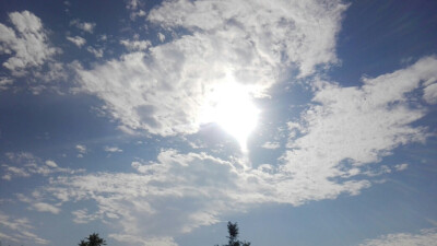 薰衣草田上的天空