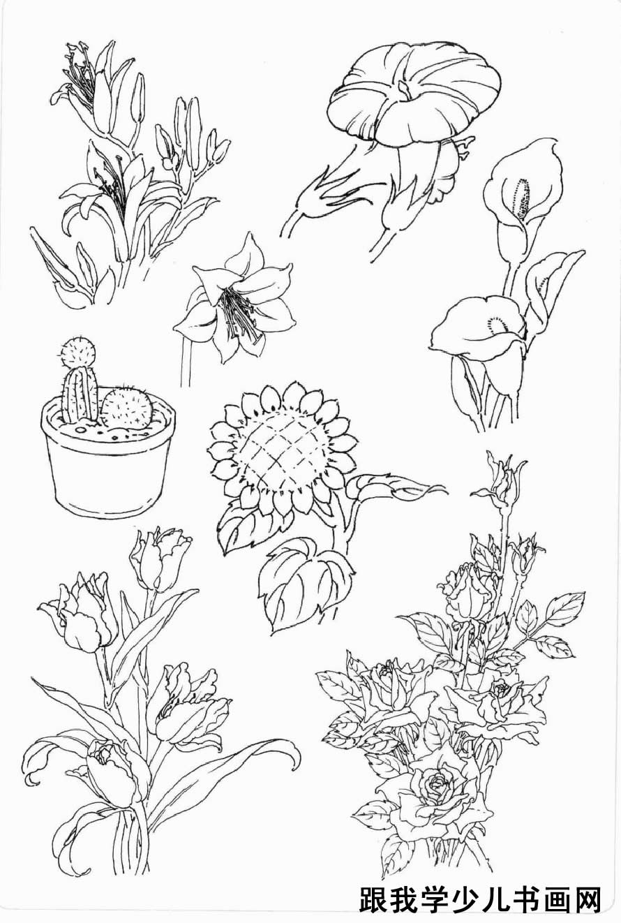 儿童画简笔画手绘线稿花草树木