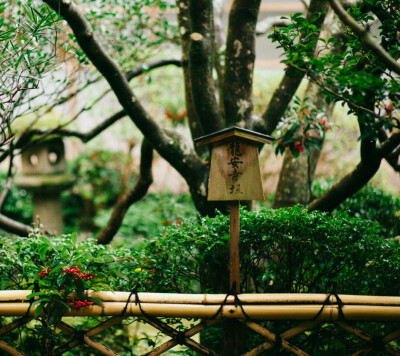 高清无水印壁纸，日本风景，拿走不谢