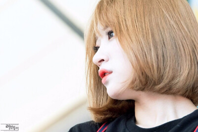 HaNi