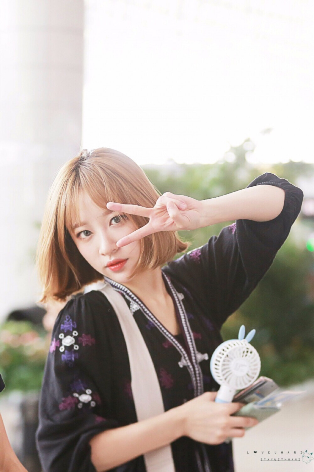 HaNi