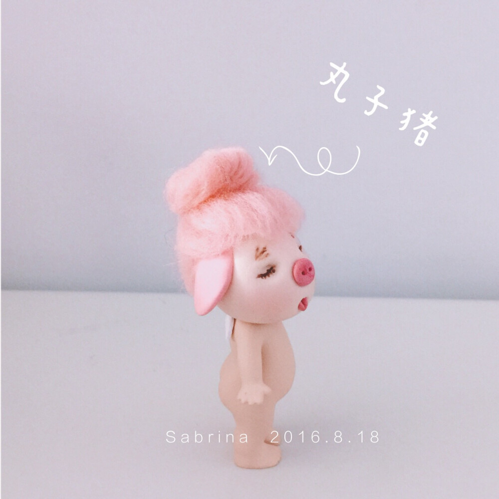 非美结猪，我是丸子猪