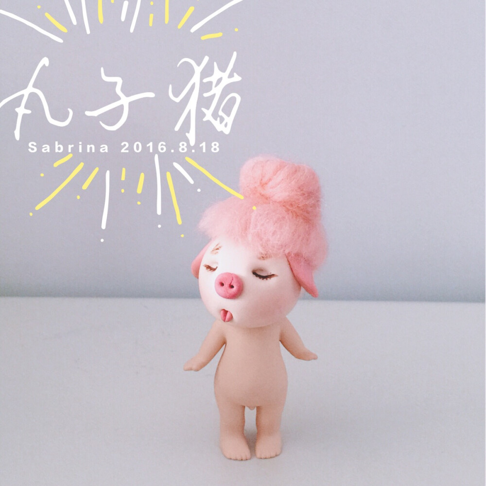 非美结猪，我是丸子猪