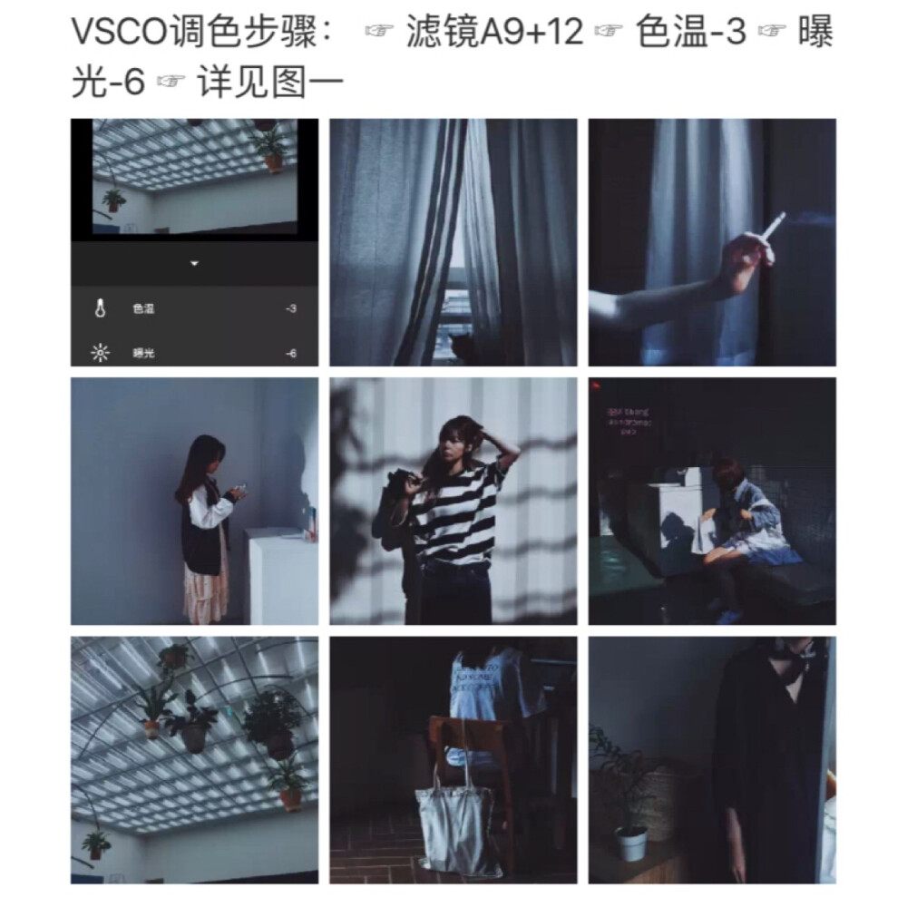 相机软件 滤镜 教程 vsco mix