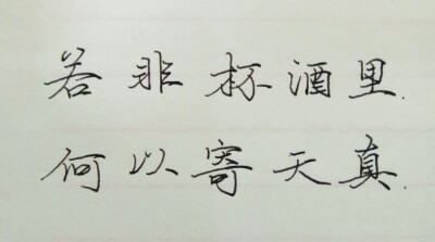 手写 练字 笔:施耐德