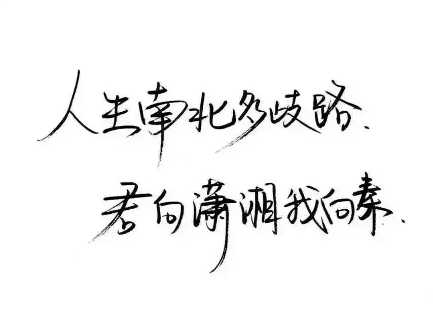 那些所谓的黑白文字壁纸