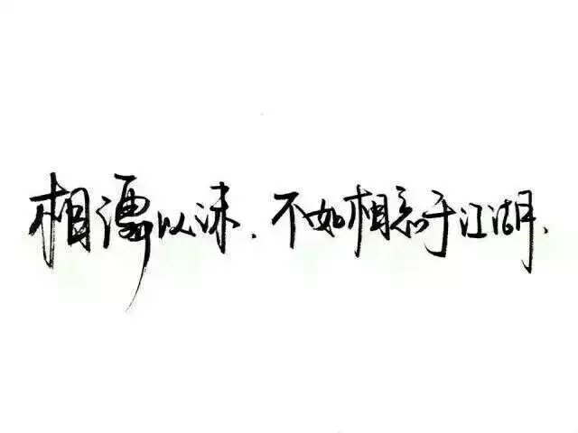 那些所谓的黑白文字壁纸