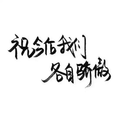 那些所谓的黑白文字壁纸