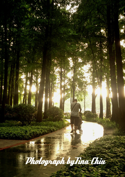 雨后流花湖