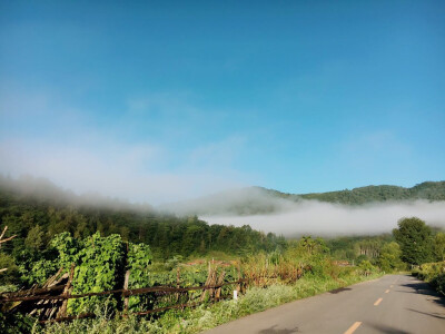 大王叫我来巡山。