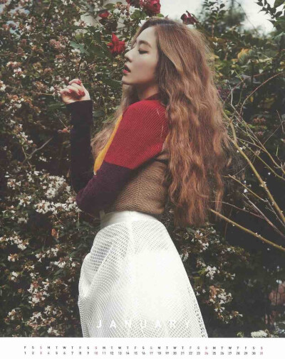 Red Velvet 画报 Irene