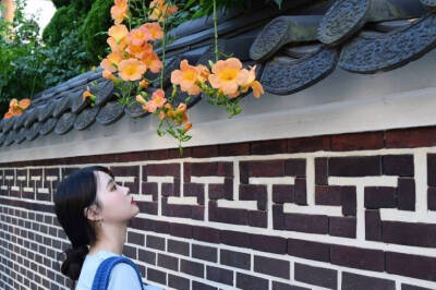 韩系女头 姐妹头像 甜美可爱 拿图留赞 喜欢关注 