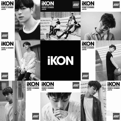 iKON
YG男团，由B.I,Bobby,金振焕，具俊会，宋允亨，金东赫，郑粲右组成