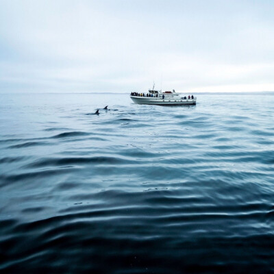 错过的都是风景