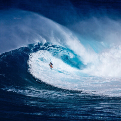 错过的都是风景