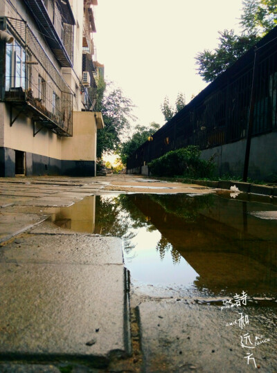 『乱七八糟的小日子~』昨天下完雨，和闺蜜出门瞎溜达，最喜欢下完雨的土腥味~✧٩(ˊωˋ*)و✧