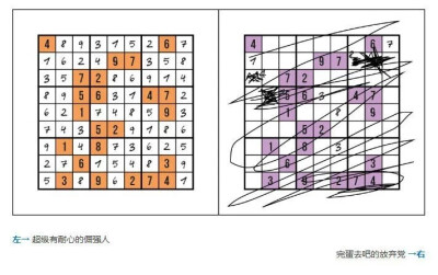 【趣图】世界上有两种人 你是左还是右？