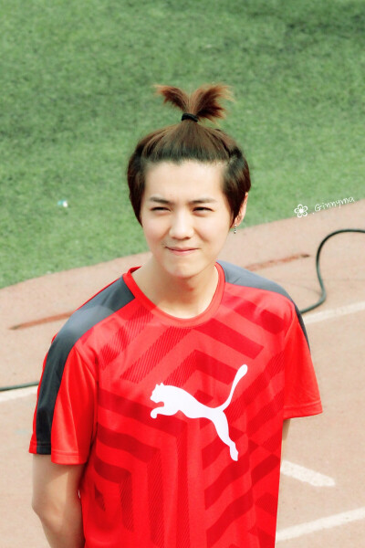 苹果鹿，难求的一组高清图