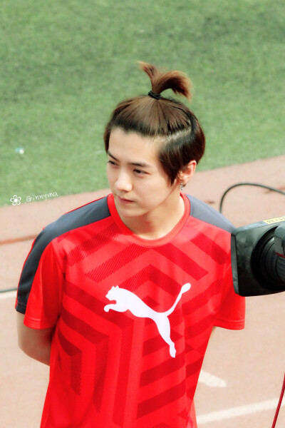 苹果鹿，难求的一组高清图