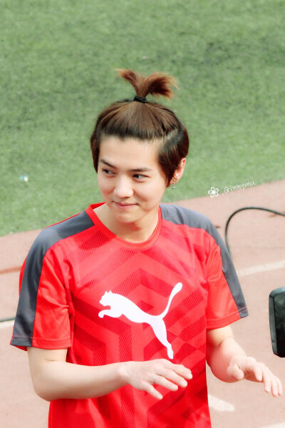 苹果鹿，难求的一组高清图