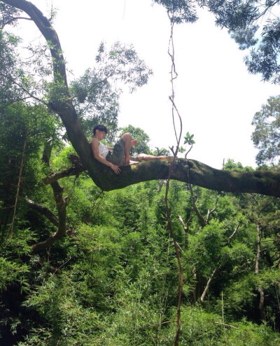 【台剧】【狼王子】张睿轩饰演杜泽明