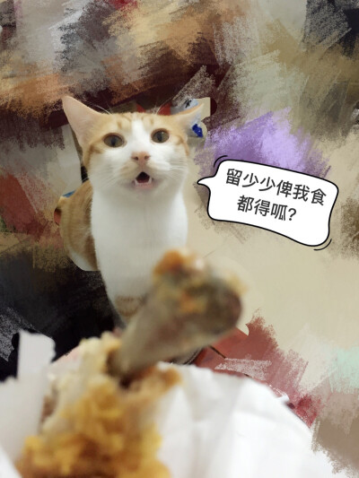 为食猫