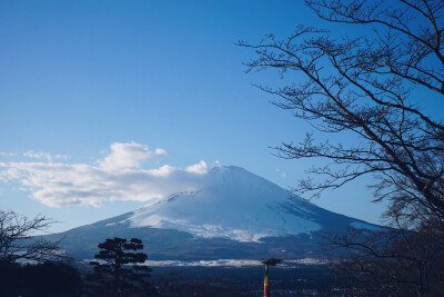 fuji