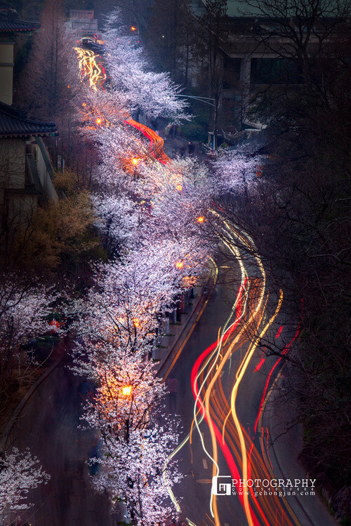 鸡鸣寺夜景2016 (1)