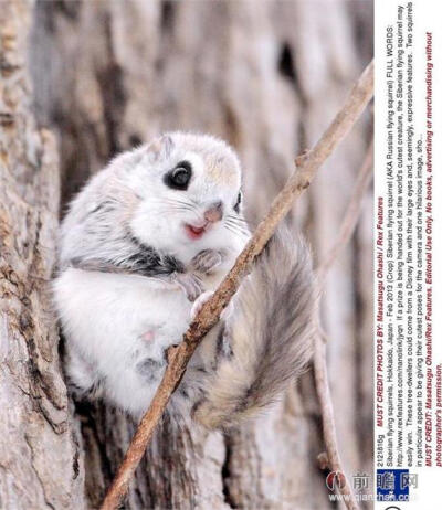 嗨 ，对面的人儿看过来