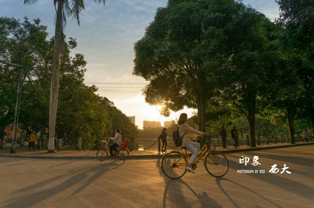 广西大学小路