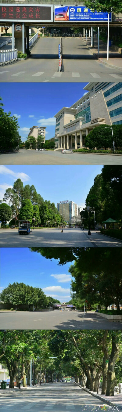 广西大学