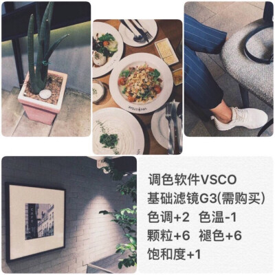 vsco调色教程