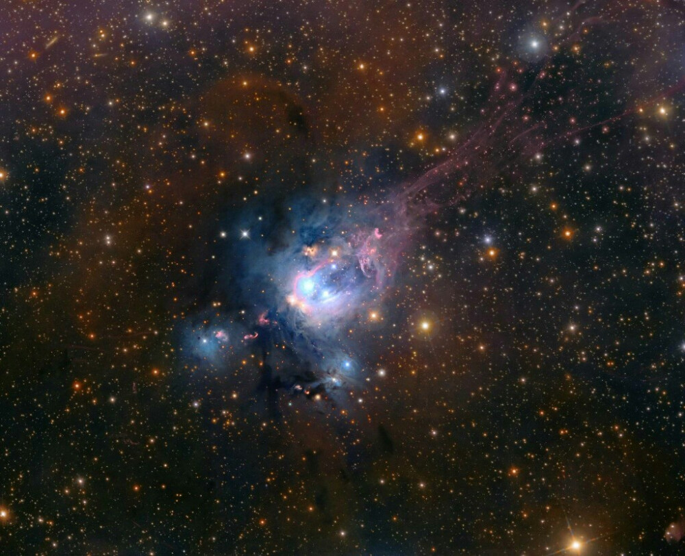 每日一天文图，NGC 7129里的年轻恒星，位于距离我们约3千光年的仙王座，这些恒星相对年幼，仅有数百万年岁