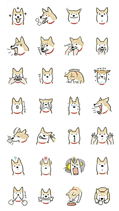 DOG。 汪汪ing~