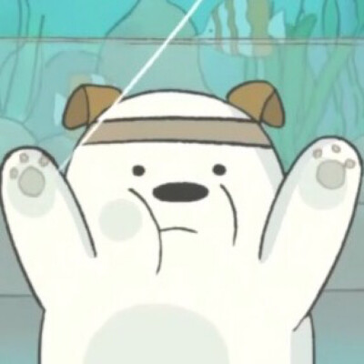 we bare bears 卡通头像