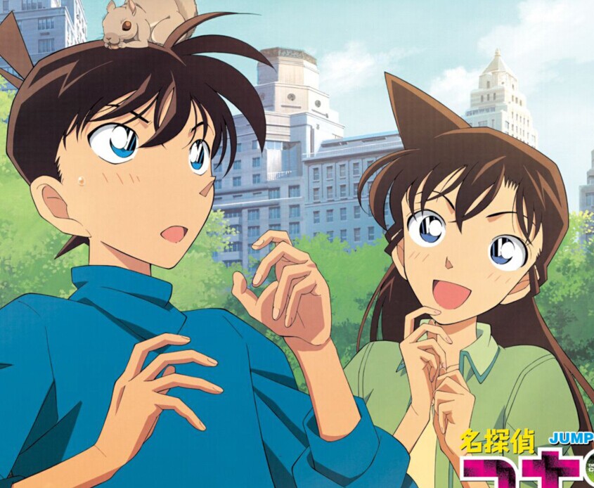 新兰是指《名侦探柯南》中根据原著以及其他官方作品所衍生出的官方BG配对，也是作者青山刚昌所认定的人气官方配对。两人分别在TV621和M4、TV2和M8中向对方告白。众所周知，新一和兰在原著中是一对青梅竹马的情侣，也是绝大多数柯南粉丝和作者青山刚昌的众望所归。而且，新兰在《名侦探柯南》中是人气最高的CP，两人的爱情一直十分明朗，彼此已确定为恋人关系。