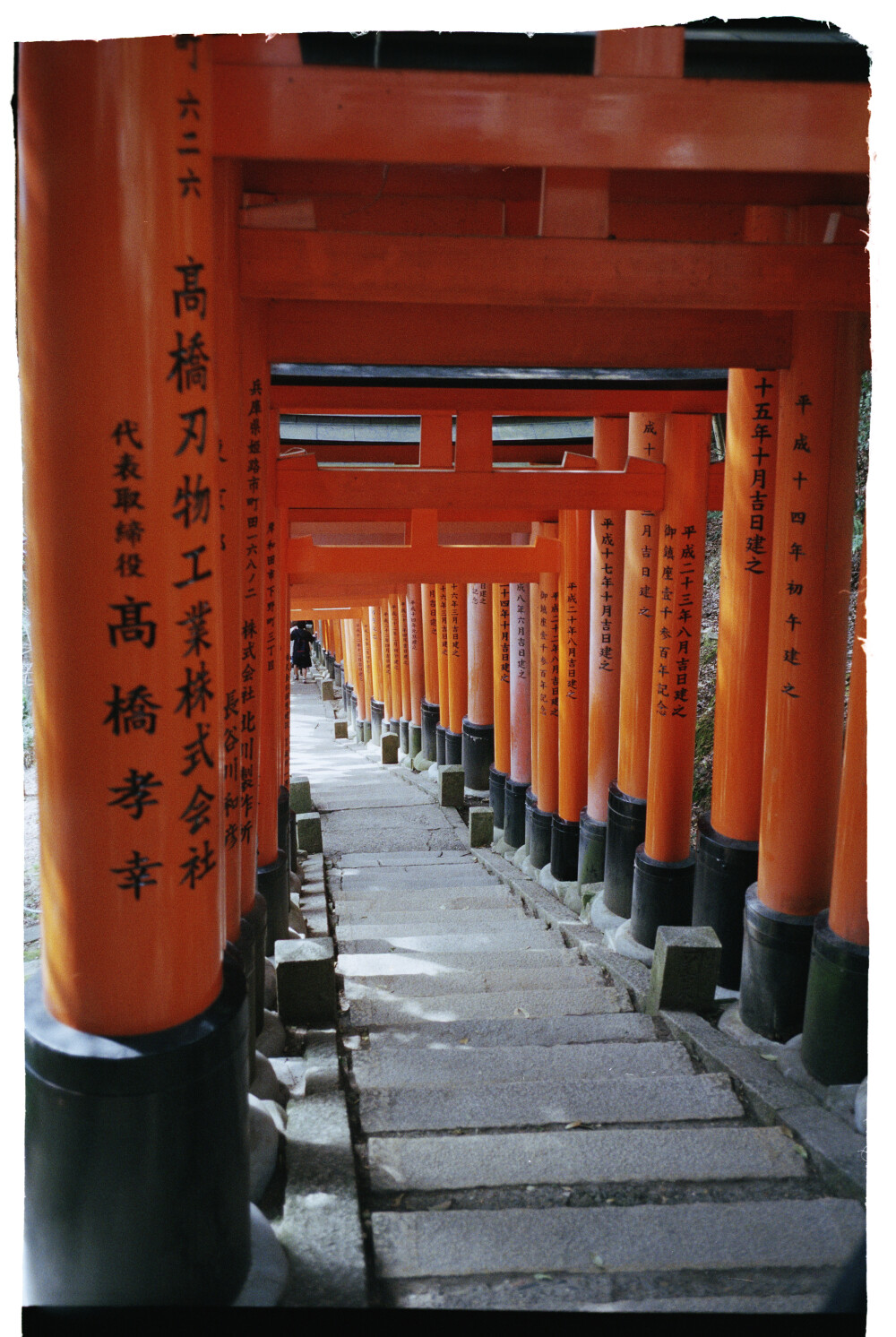 千本鸟居。鸟居是类似牌坊的日本神社附属建筑，代表神域的入口，用于区分神栖息的神域和人类居住的世俗界。鸟居的存在提醒来访者，踏入鸟居即意味着进入神域，之后所有的行为举止都应特别注意。