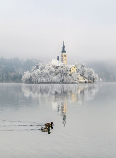 Bled Island, Lake Bled, Slovenia。斯洛文尼亚西北部上卡尼鄂拉地区的布莱德岛，是斯洛文尼亚唯一一座天然岛屿，位于布莱德湖，岛上有几座建筑，最大的是圣母升天教堂，像童话世界般美好。今天，它是一个重要的会议…