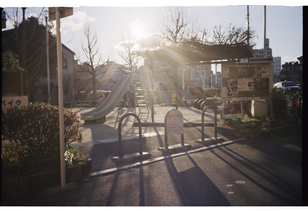 落日時的公園