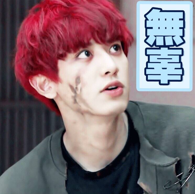 EXO Chanyeol 表情包