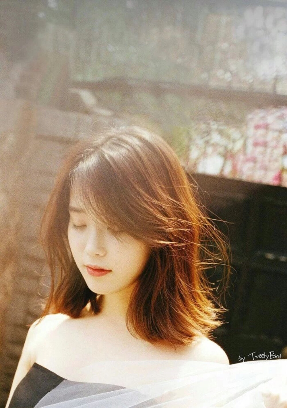 IU