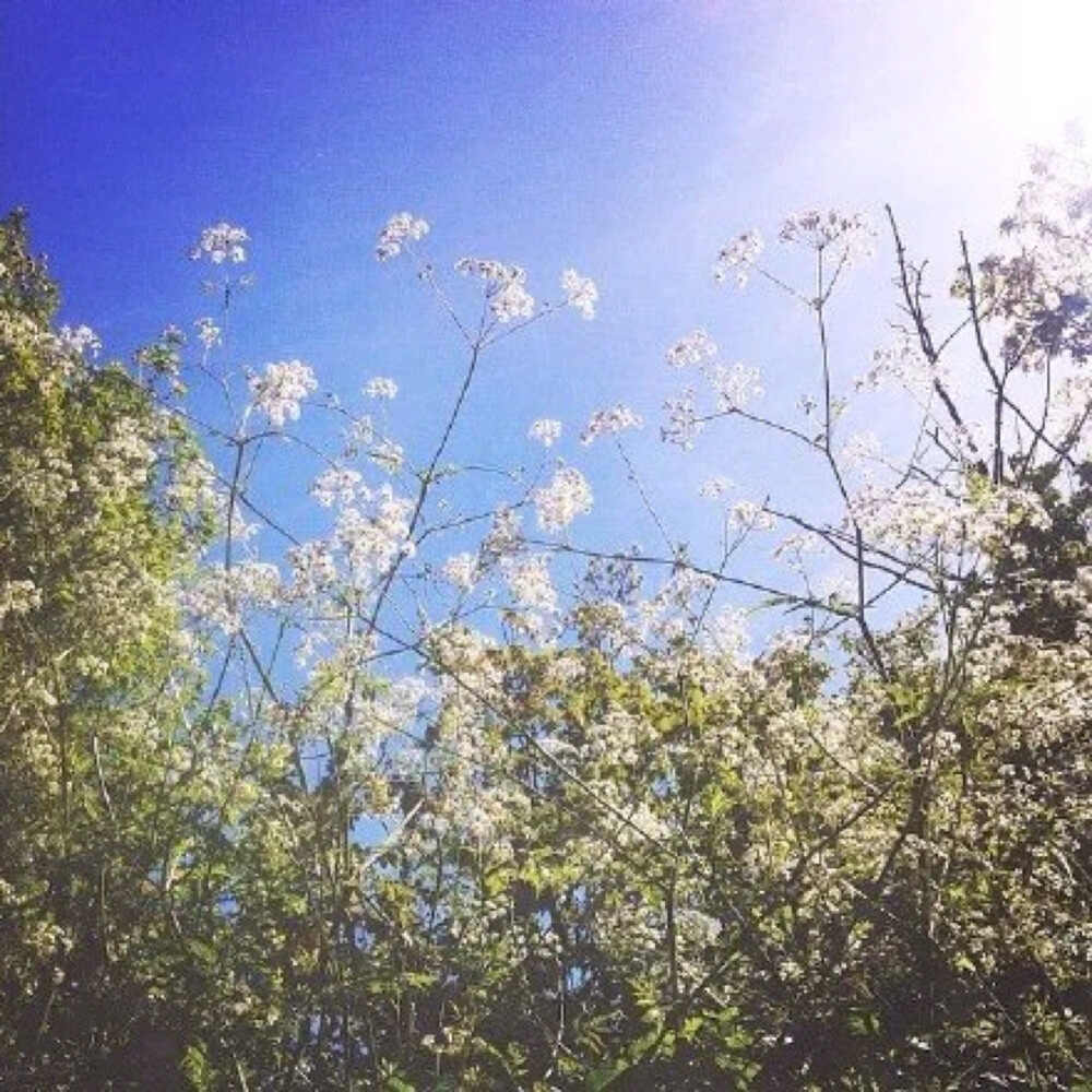 主页图 键盘壁纸 高清背景 INS objects极简 by：可爱雯.