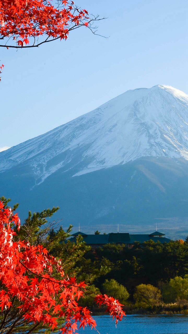 富士山