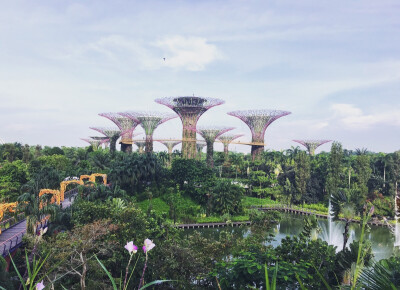 Garden by the Bay 